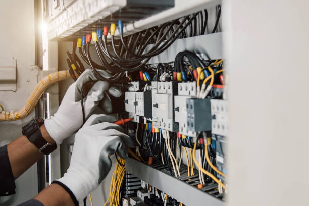 Best Electric Panel Repair  in Falconer, NY